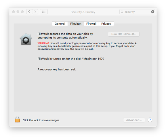 Risk Management: Check OS FireVault