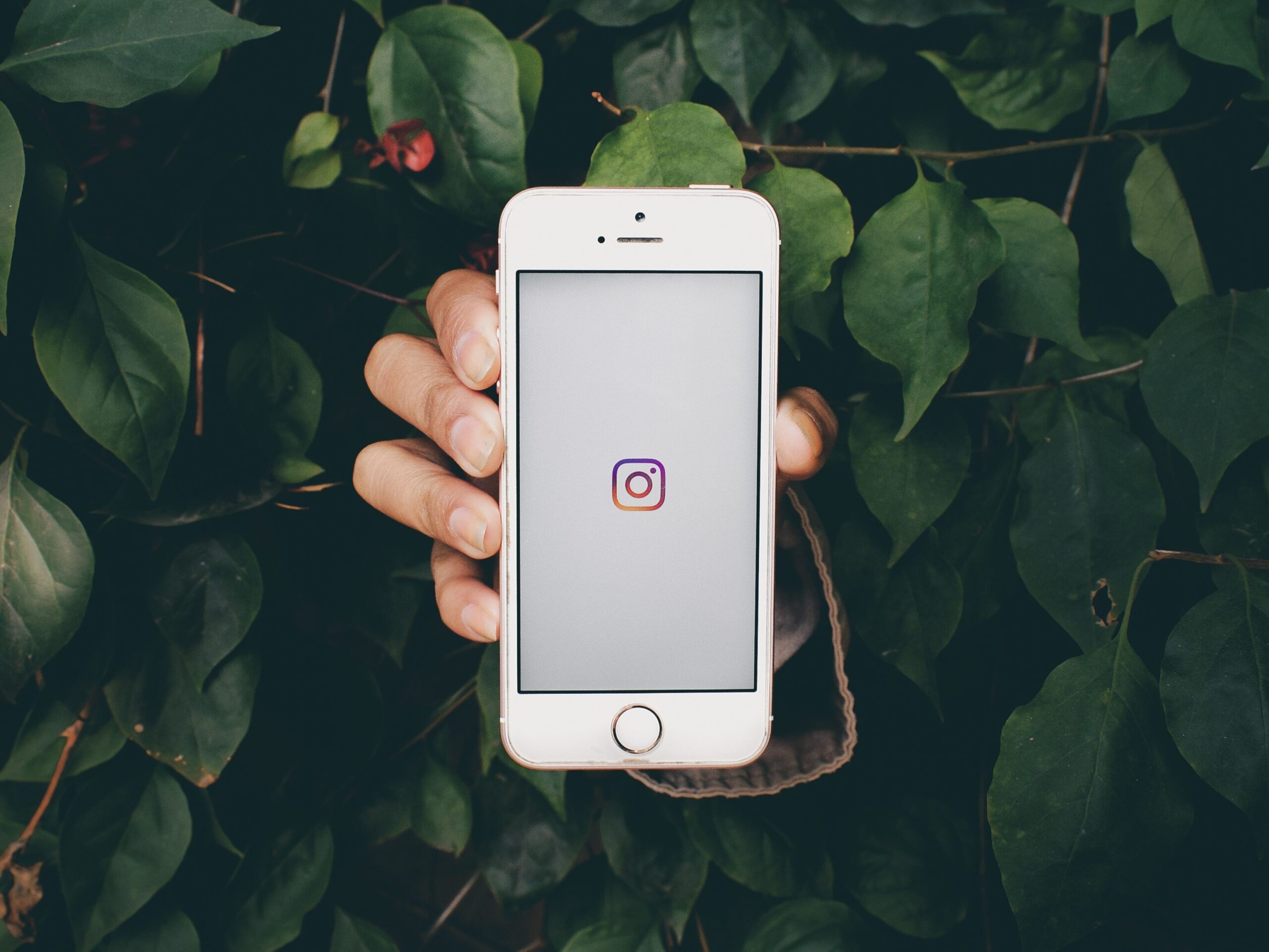 5 Essential Tips for Organic Instagram Growth
